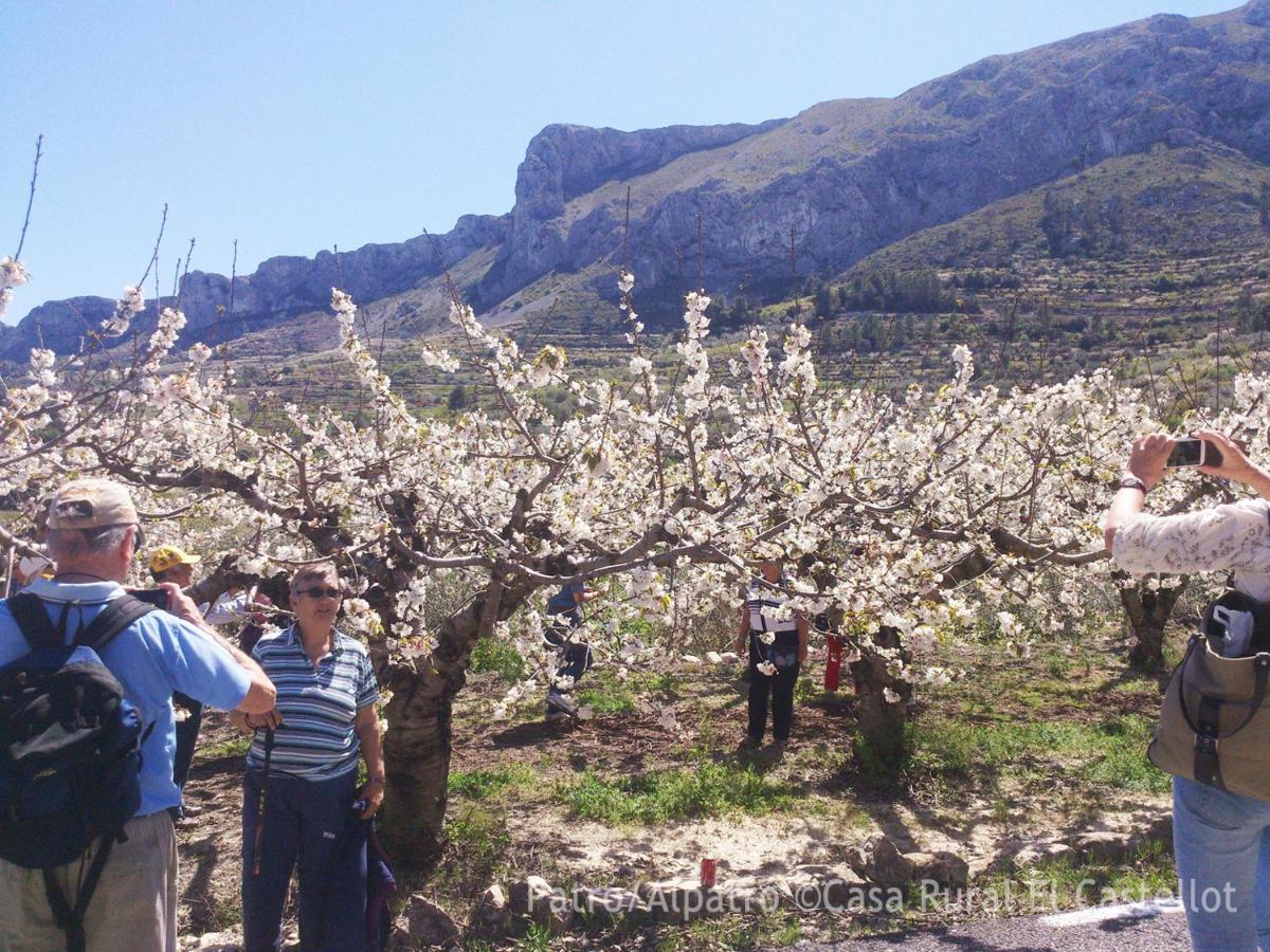 Buhardilla Rustica En La Vall De Gallinera Aparthotel Patro Bagian luar foto